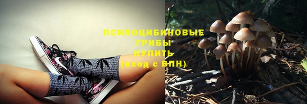 тгк Балахна