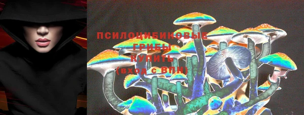 тгк Балахна